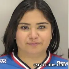 Lizmarel Arreguin-Moreno booking photo