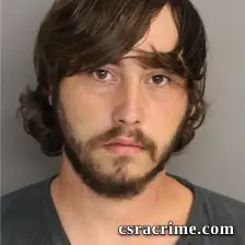Logan Doying booking photo