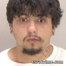 Logan Emanuel Lines booking photo