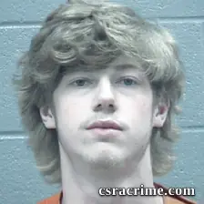Logan Mcneil booking photo