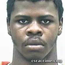 Lonnie Anderson booking photo