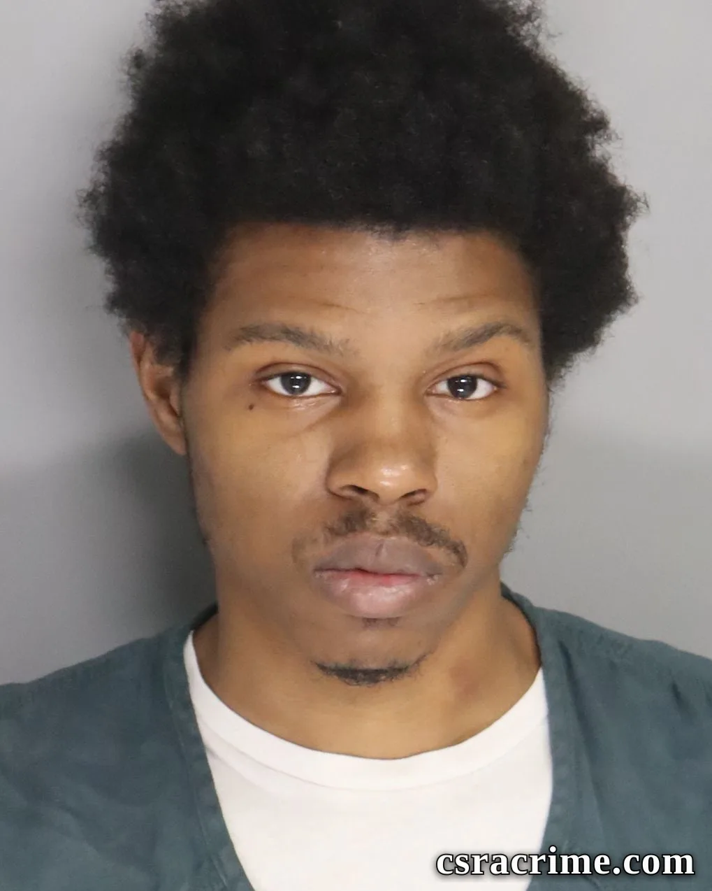 Lorenzo Davis booking photo