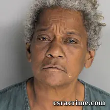 Loretta Mckinney booking photo