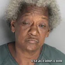Loretta Mckinney booking photo