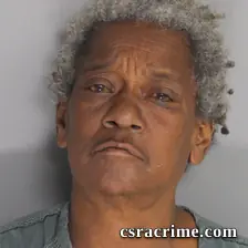 Loretta Mckinney booking photo