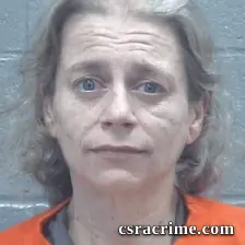 Lori Johnson booking photo