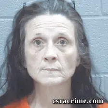 Lori Sey booking photo