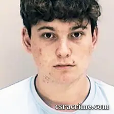 Louis Flores IV booking photo