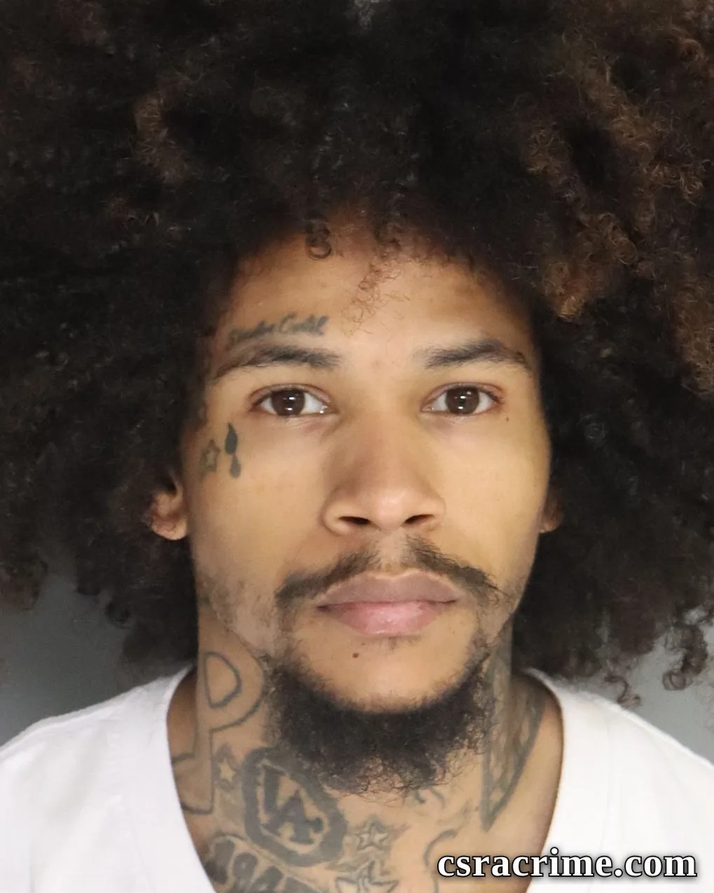 Louis King booking photo