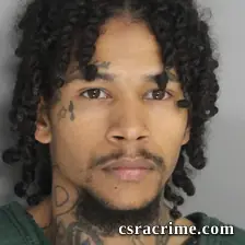 Louis King JR booking photo