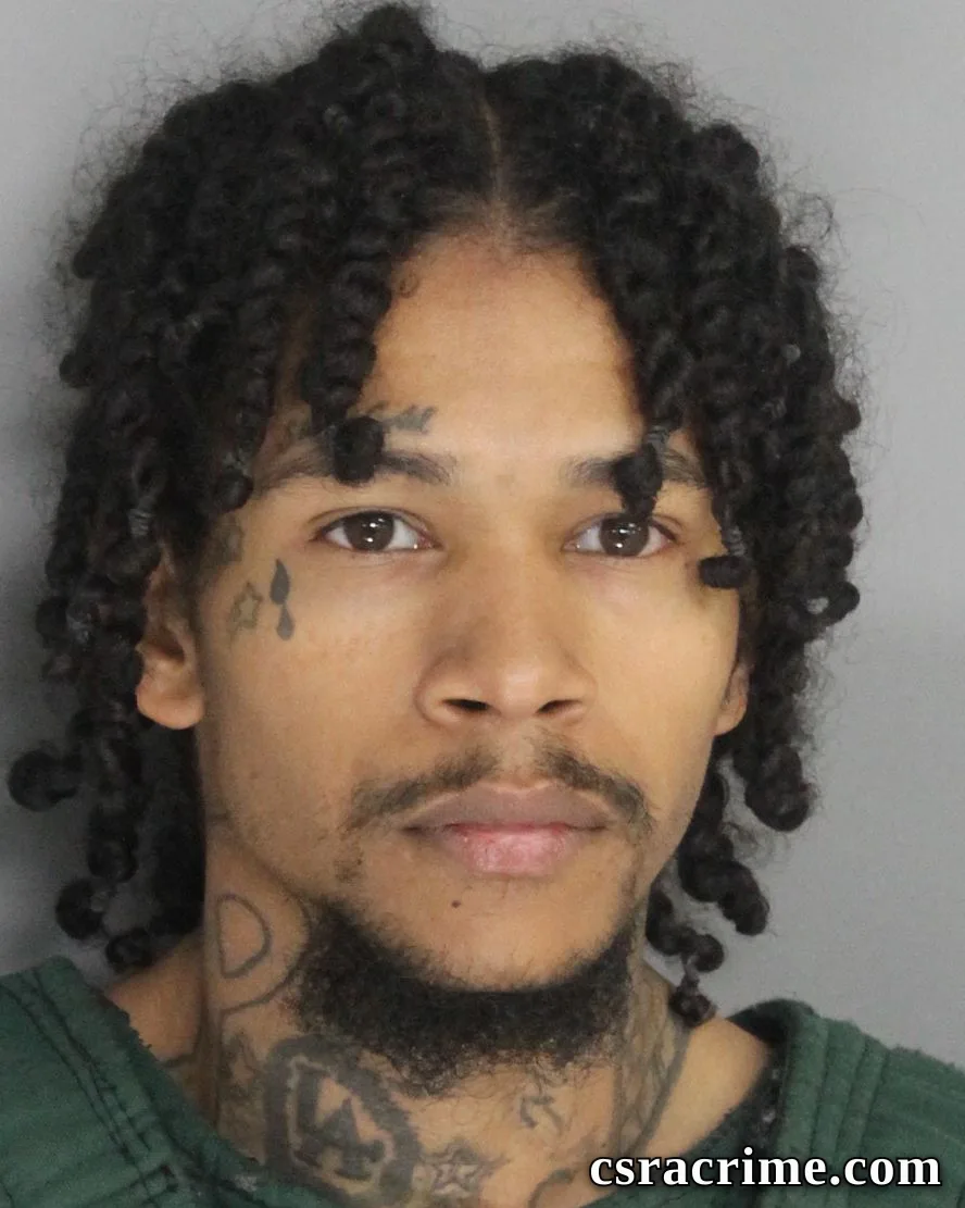 Louis King JR booking photo