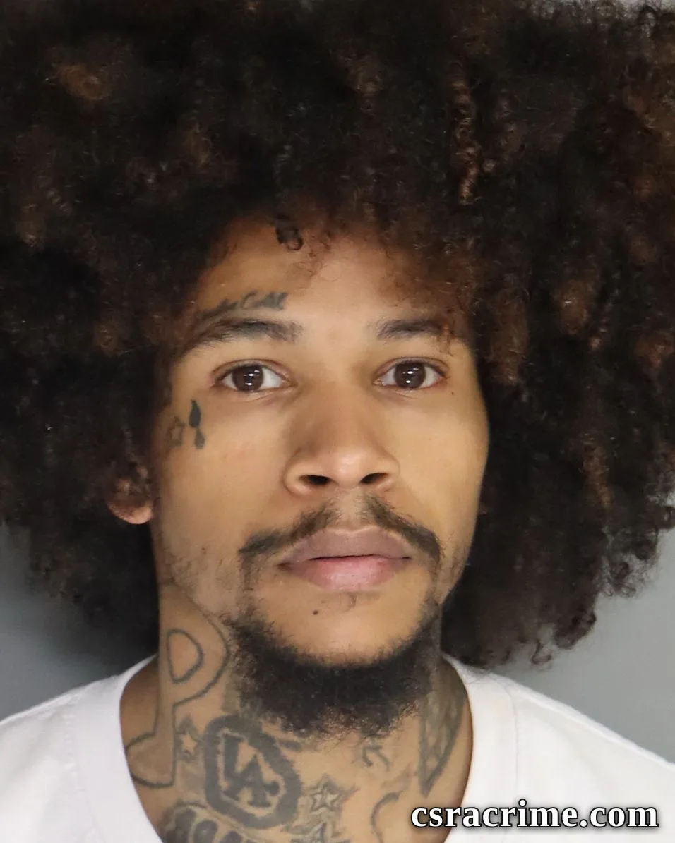 Louis King JR booking photo
