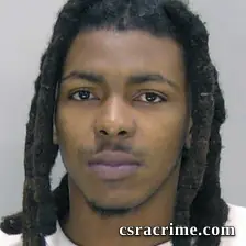 Louis Stevens booking photo