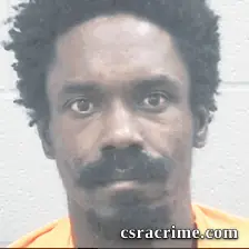 Louis Williams booking photo