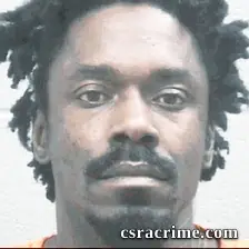 Louis Williams booking photo