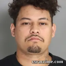 Lucas Marques Borges booking photo
