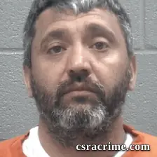 Lucian Olteanu booking photo
