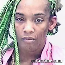 Lucinda Bowens booking photo