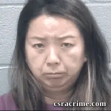 Ludan Lin booking photo