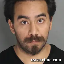 Luis Antonio Salgado booking photo