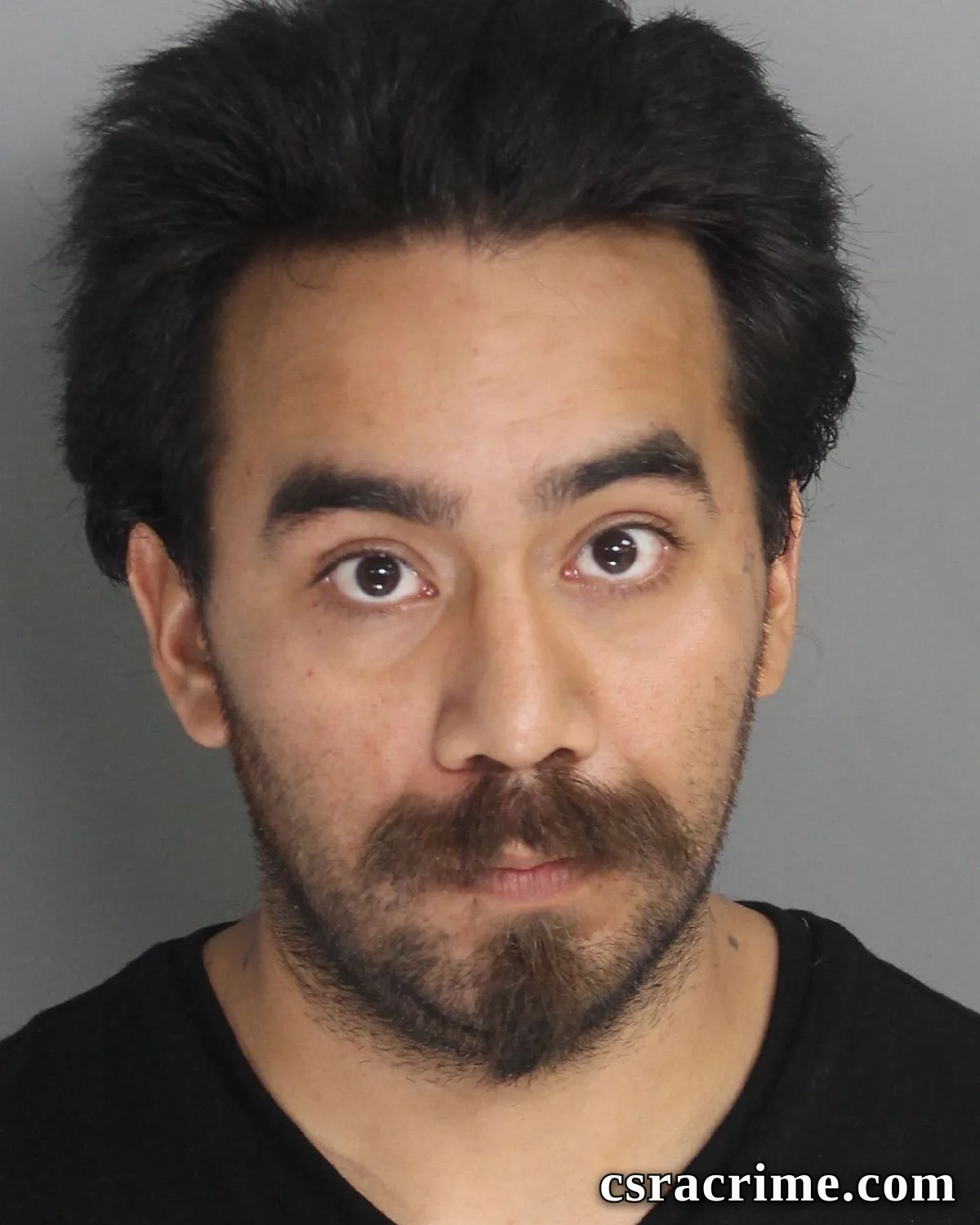 Luis Antonio Salgado booking photo
