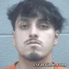 Luis Arreola Vega booking photo