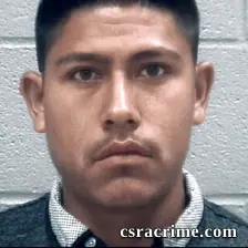 Luis Gustavo-Martinez booking photo