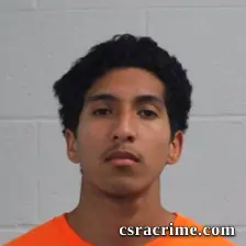Luis Martinez booking photo