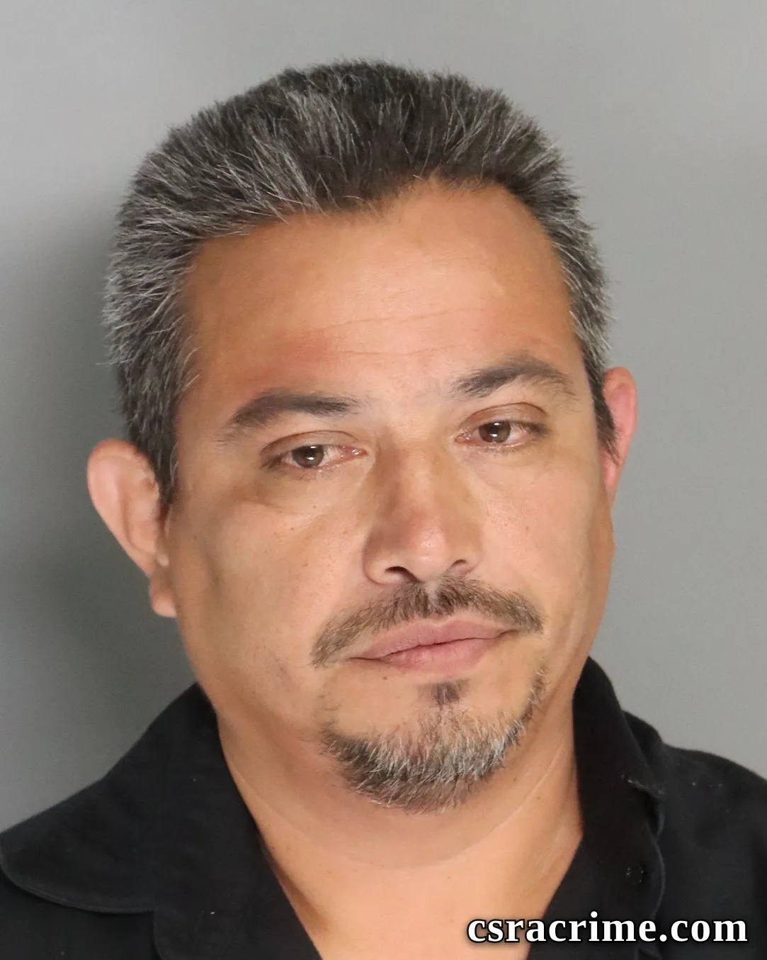 Luis Millon Sanchez booking photo