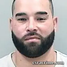 Luis Navarro-Mercado booking photo