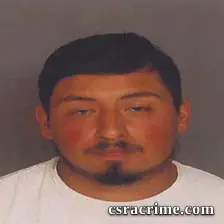 Luis Netro-Reynaga booking photo