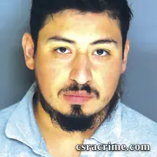 Luis Netro Reynaga booking photo