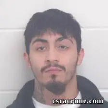 Luiz Jerardo Menjivar booking photo