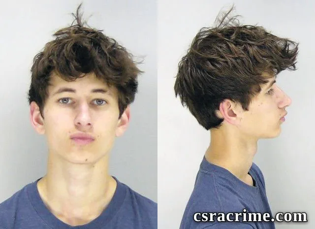 Luke Sachau booking photo