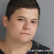 Luke Toole booking photo