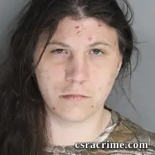 Lydia Givvines booking photo