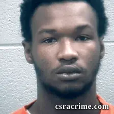 Lymetris Cone booking photo