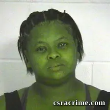 Lynn Ferguson booking photo