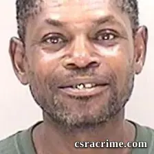 Lynn Haynes booking photo