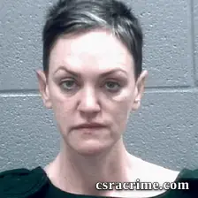 Lynn Hughes booking photo