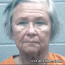 Lynn Nestor booking photo