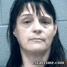Lynn Waldron booking photo