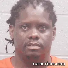 Mabelana Nyanda booking photo