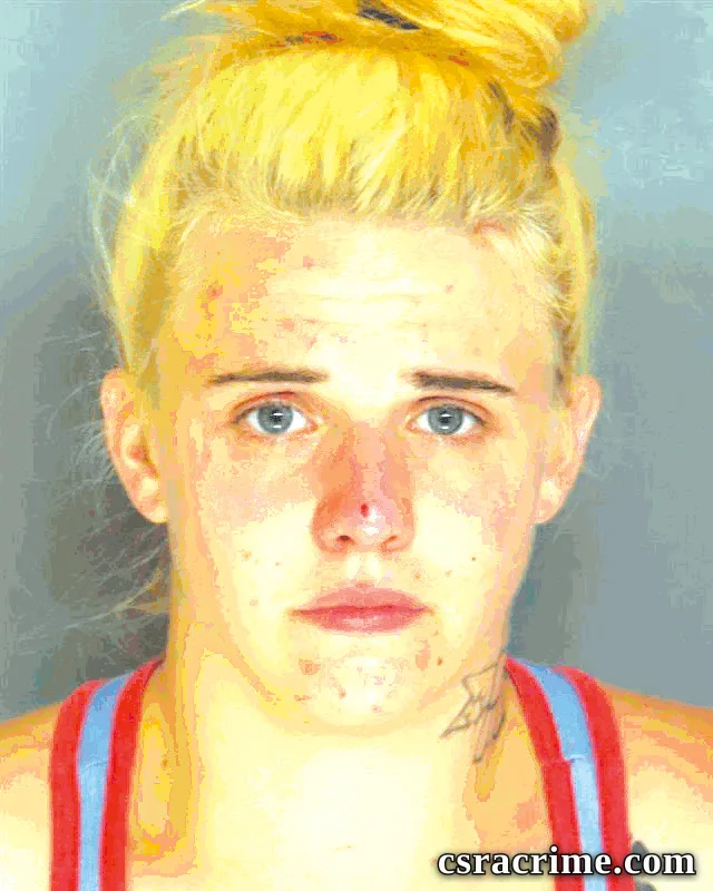 Madeline Norbits booking photo