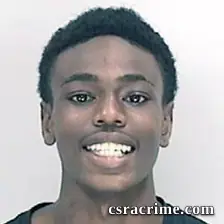 Madison Lewis booking photo
