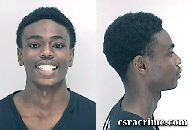 Madison Lewis booking photo