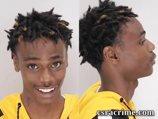 Madison Lewis JR booking photo