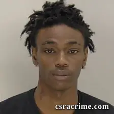 Madison Lewis JR booking photo