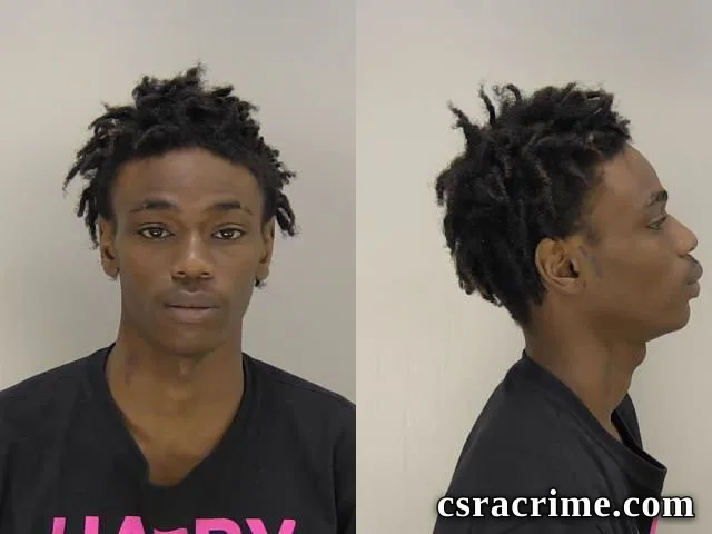 Madison Lewis JR booking photo