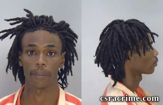Madison Lewis JR booking photo